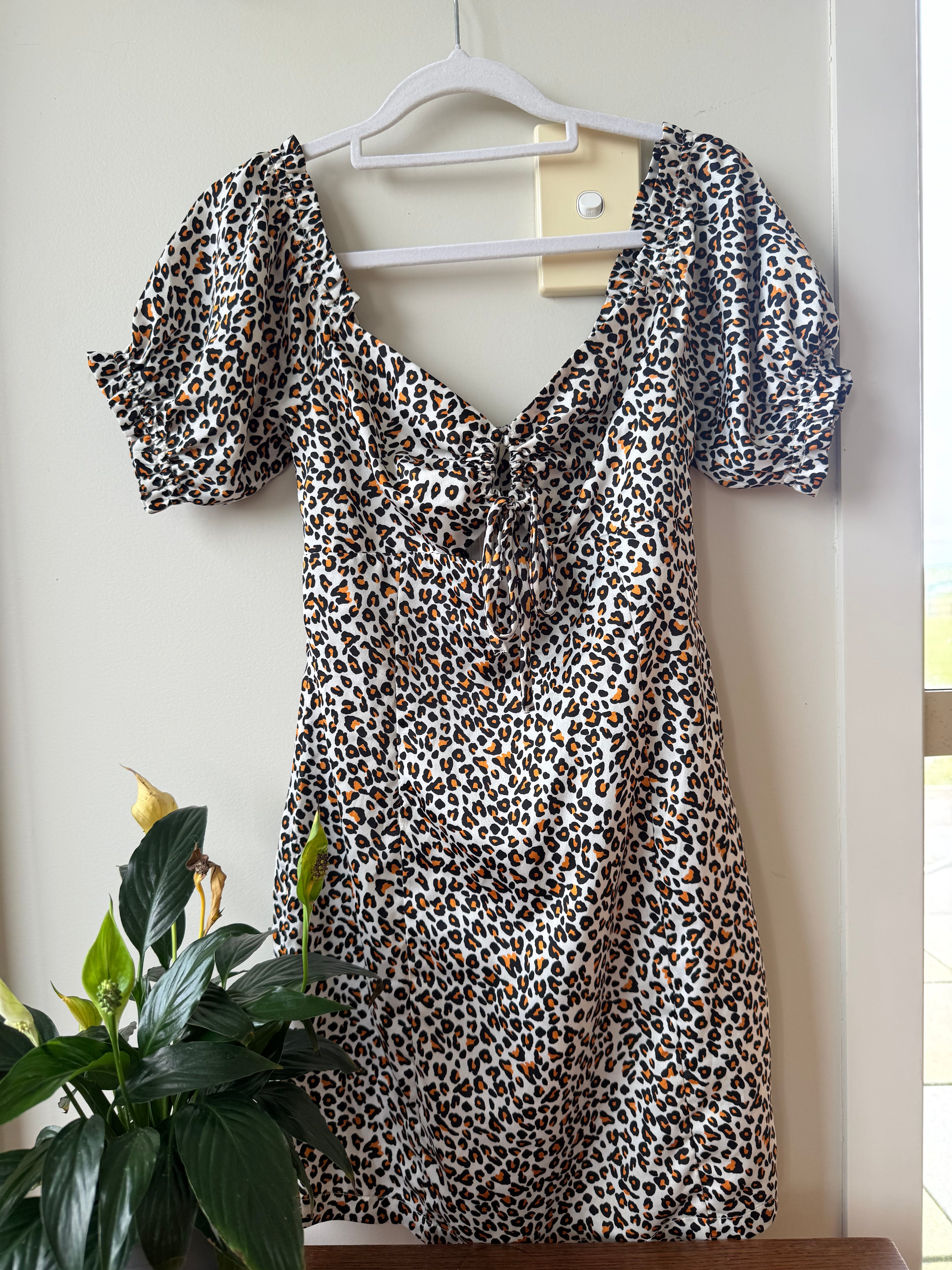 Jorge Dress / Size 6