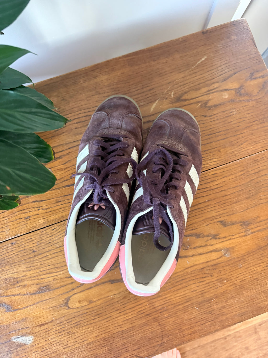 Adidas Gazelles / Size US 8