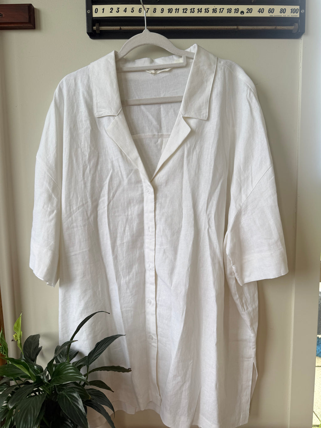 Glassons Button Up / Size 14