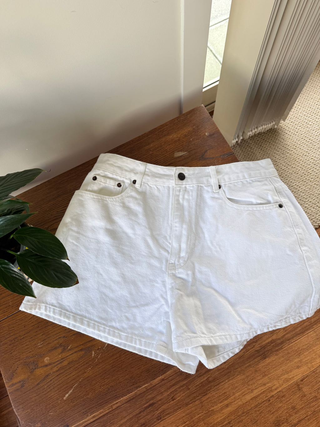 Glassons Shorts / Size 12