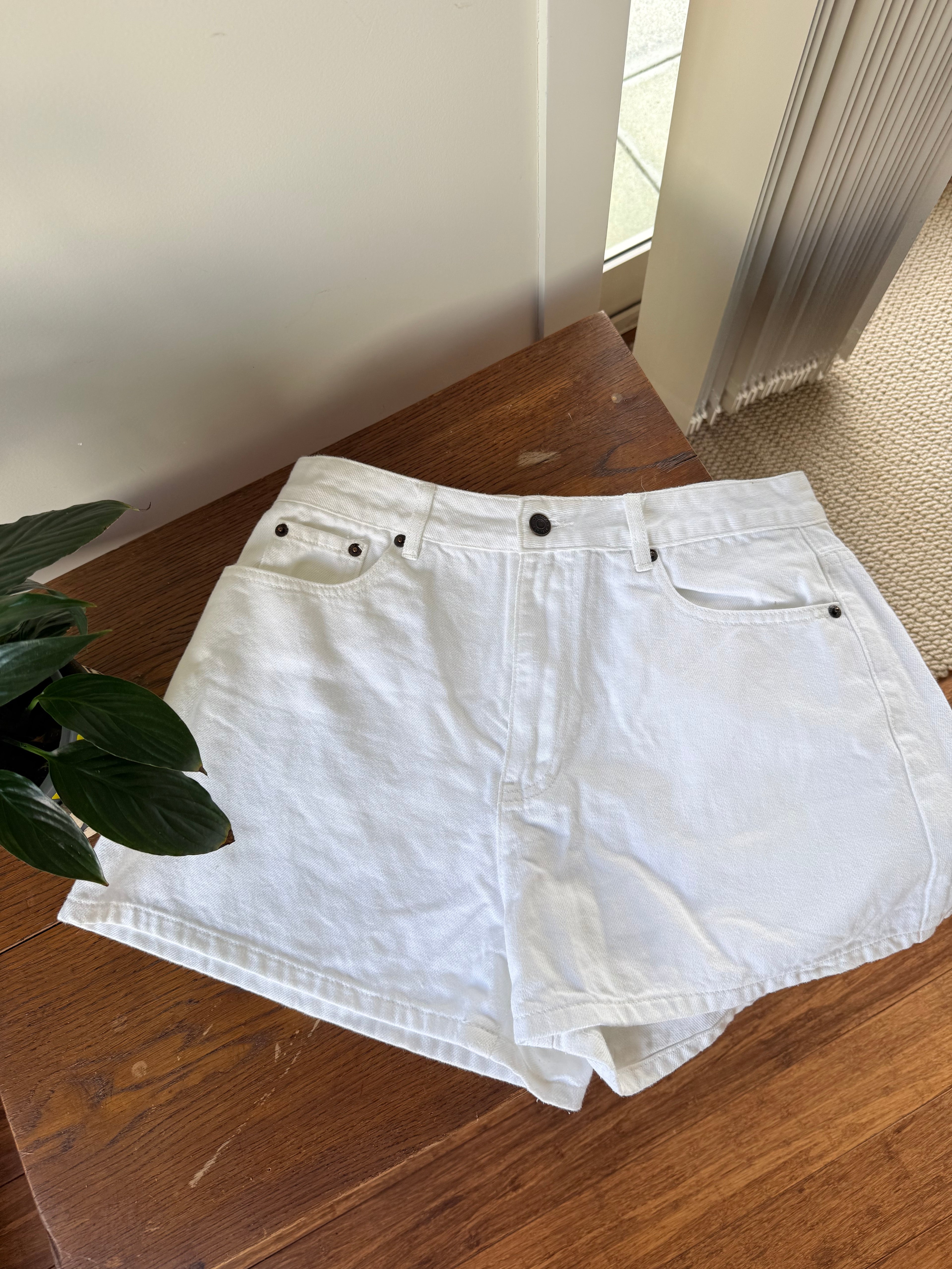 Glassons Shorts / Size 12