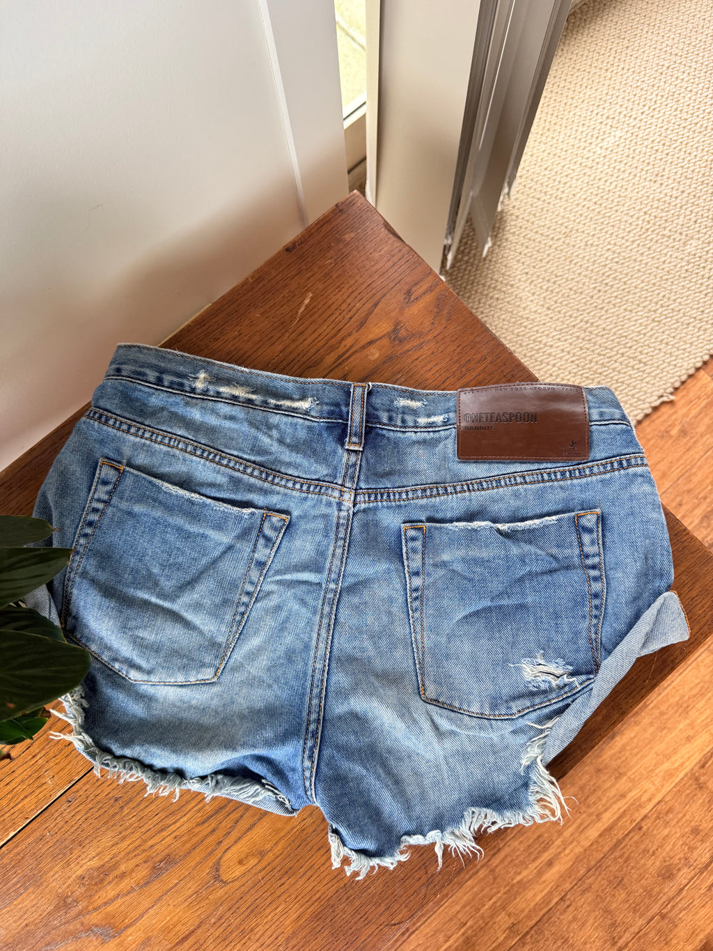One Teaspoon Shorts / Size 27