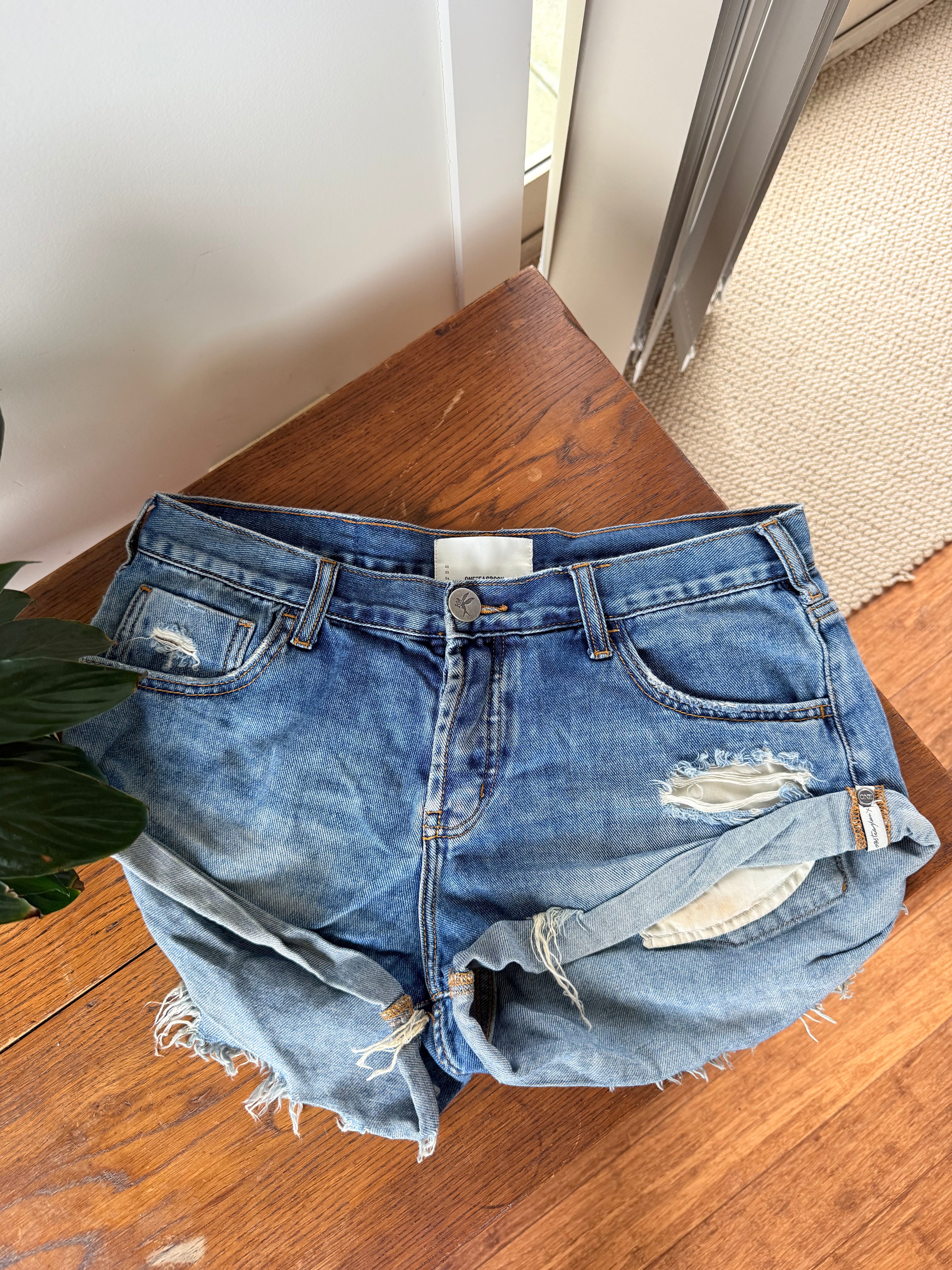 One Teaspoon Shorts / Size 27